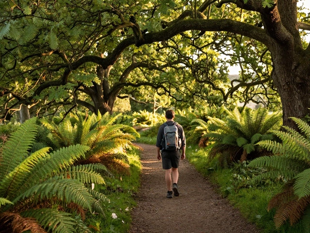 What Are the 3 Categories of Outdoor Activity? A Complete Guide