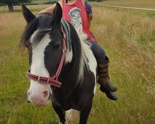 Pony Rides Suffolk Charlie the Pony